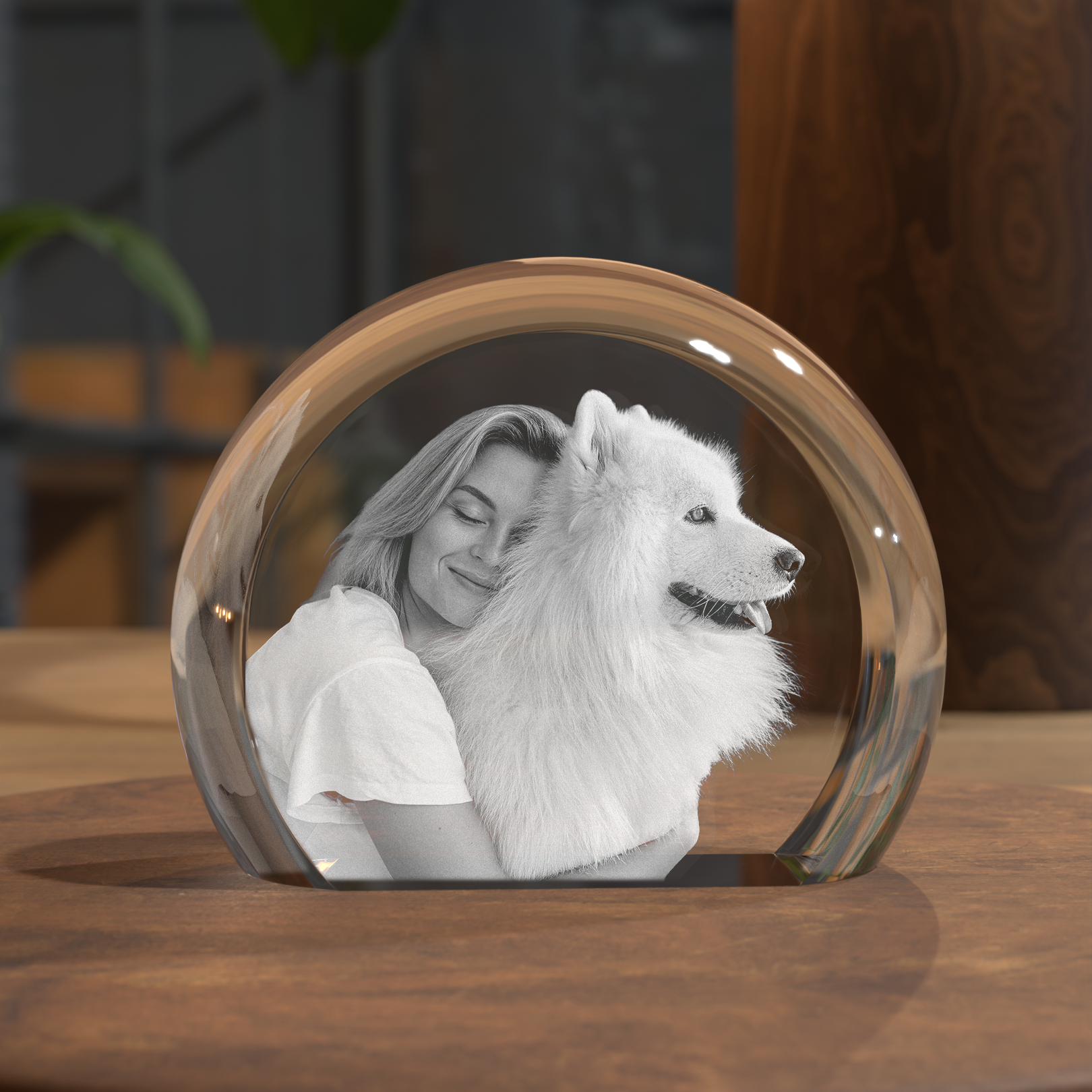 polkole plaskie 1 piesek